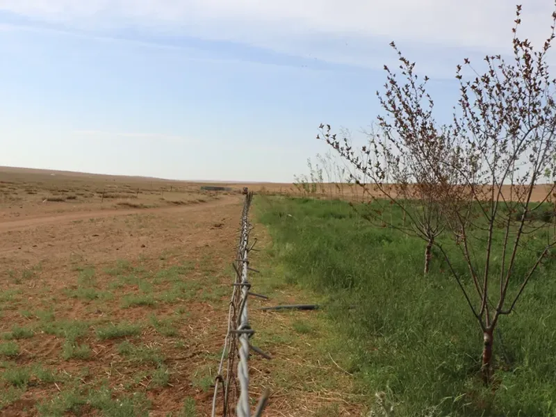 Баланс между экологией и средствами к существованию! «Модель ведения сельского хозяйства»11 (2)