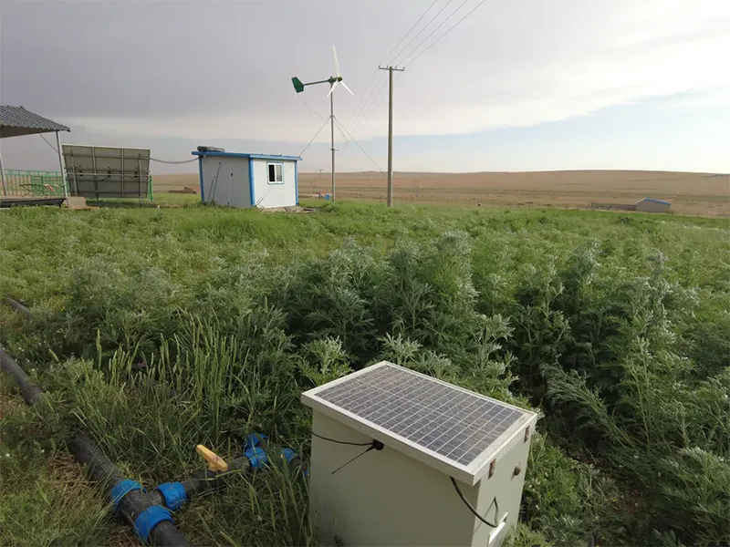 Баланс между экологией и средствами к существованию! «Модель ведения сельского хозяйства»11 (3)