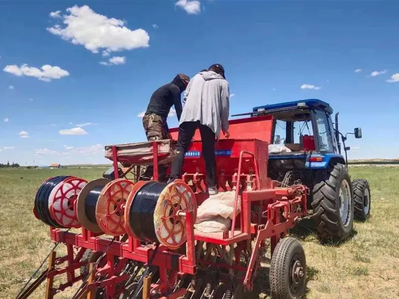 Научный проект лиги Силинголь «Исследование и применение подхода к экологическому восстановлению с использованием2 (3)