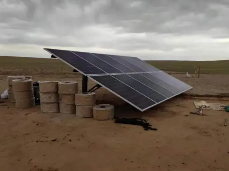 Научный проект лиги Силинголь «Исследование и применение подхода к экологическому восстановлению с использованием33 (1)