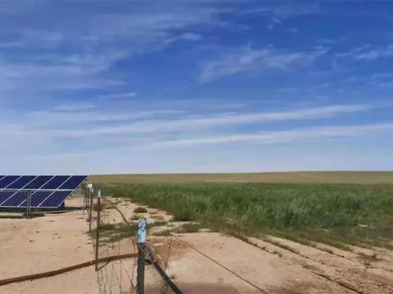 Научный проект лиги Силинголь «Исследование и применение подхода к экологическому восстановлению с использованием33 (5)