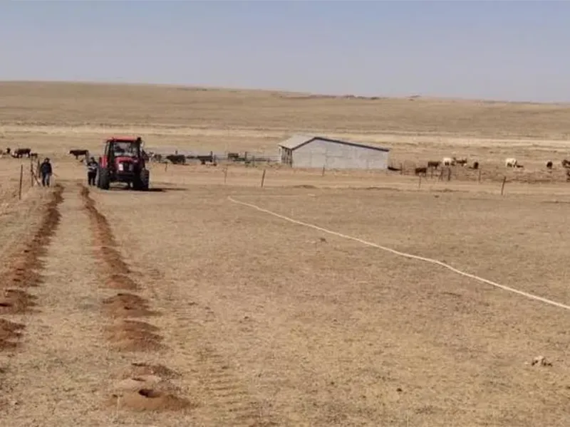 Научный проект лиги Силинголь «Исследование и применение подхода к экологическому восстановлению с использованием33 (6)