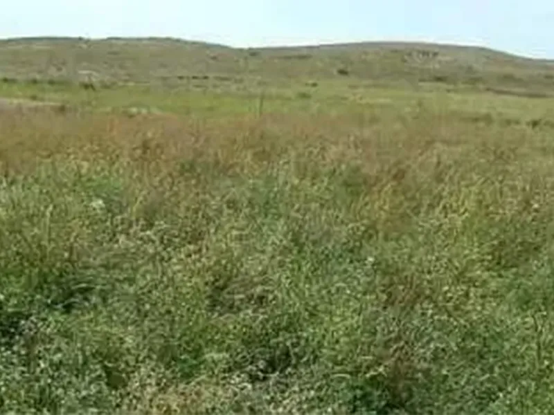 Научный проект лиги Силинголь «Исследование и применение подхода к экологическому восстановлению с использованием33 (8)